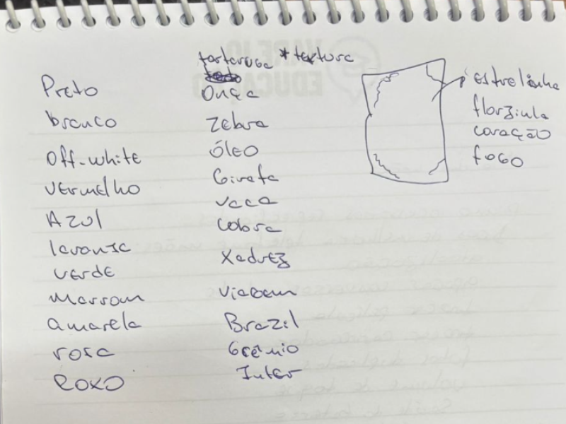 Escolha das estampas e seleção inicial